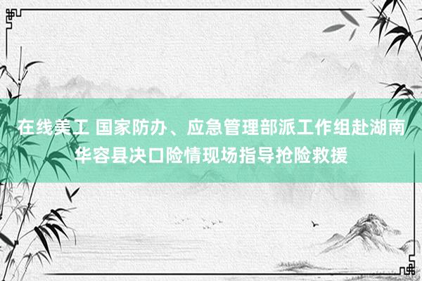 在线美工 国家防办、应急管理部派工作组赴湖南华容县决口险情现场指导抢险救援