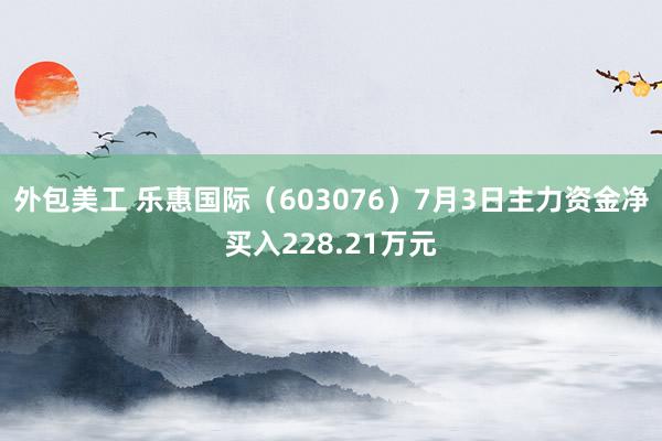 外包美工 乐惠国际（603076）7月3日主力资金净买入228.21万元