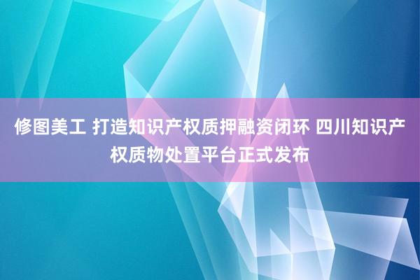 修图美工 打造知识产权质押融资闭环 四川知识产权质物处置平台正式发布