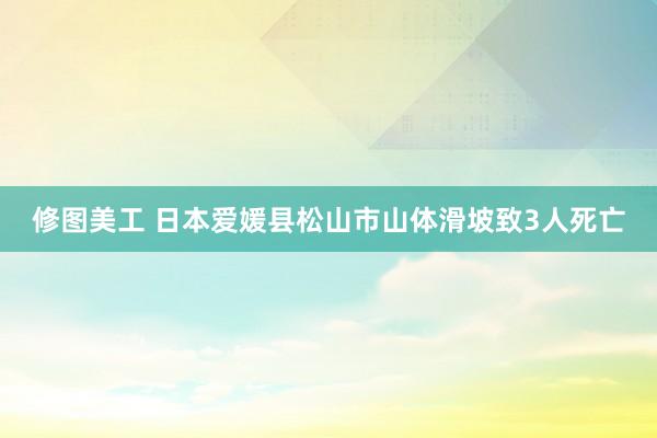 修图美工 日本爱媛县松山市山体滑坡致3人死亡