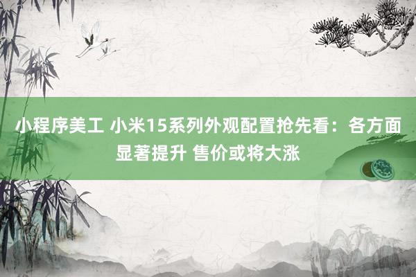 小程序美工 小米15系列外观配置抢先看：各方面显著提升 售价或将大涨