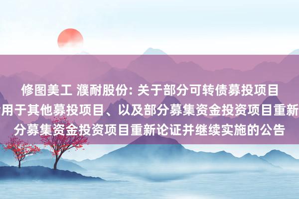 修图美工 濮耐股份: 关于部分可转债募投项目结项并将节余募集资金用于其他募投项目、以及部分募集资金投资项目重新论证并继续实施的公告